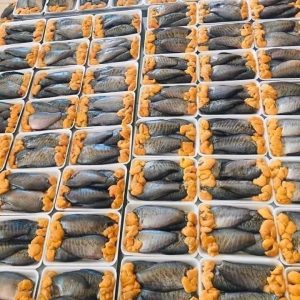 Cá Sặc Trứng