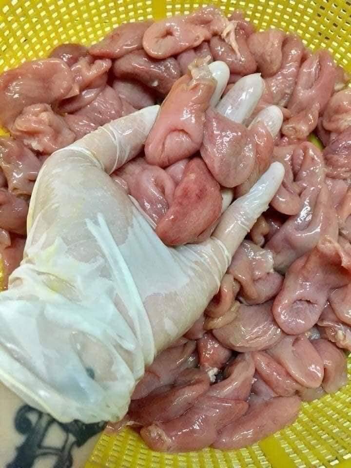 Bao Tử Cá Basa