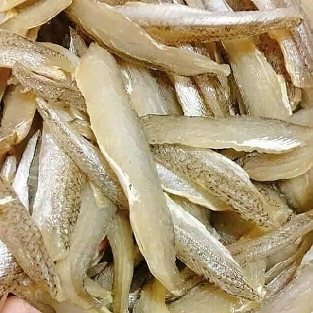 Cá Mối File Phơi Dẻo