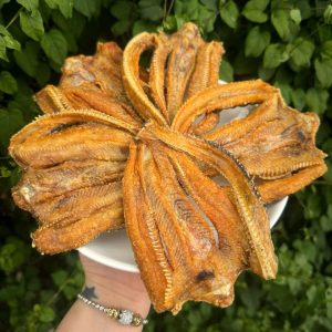 Cá Lóc Cửng 3 Nắng