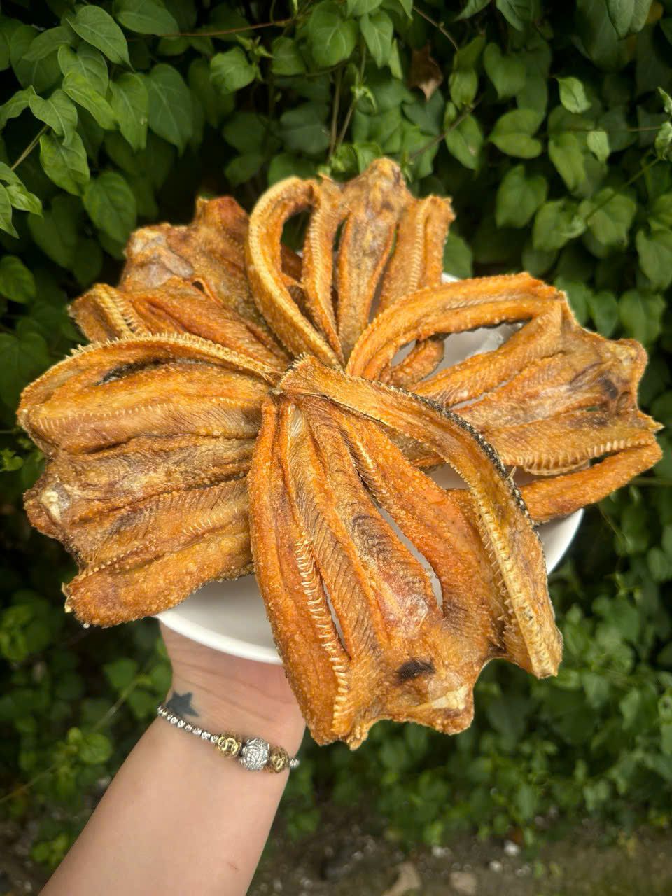 Cá Lóc Cửng 3 Nắng