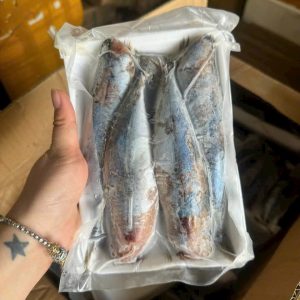 Cá Nục 1 Nắng