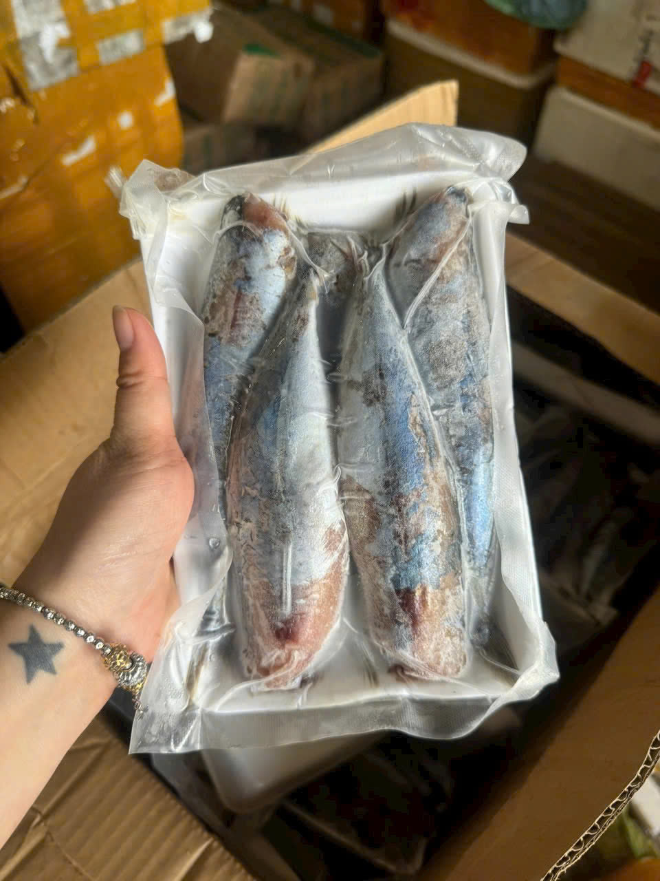 Cá Nục 1 Nắng